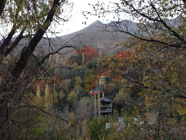  طبیعت زرد پاییزی هنگام صعود به قله توچال از مسیر آهار - شکرآب - توچال